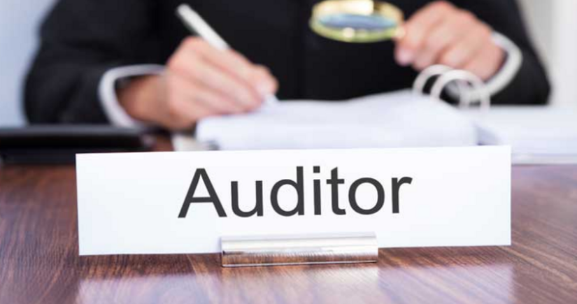 AYNA auditor seçib