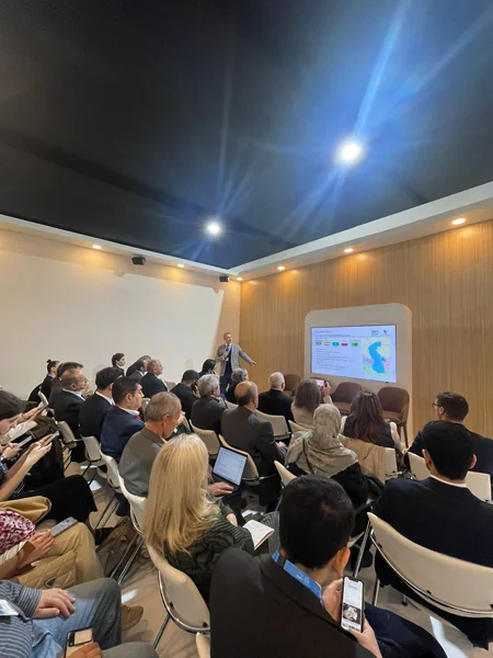 Protection of coastal areas and biodiversity of Caspian Sea discussed at COP29