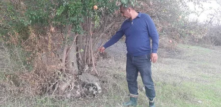 Şəmkirdə əl qumbarası tapılıb