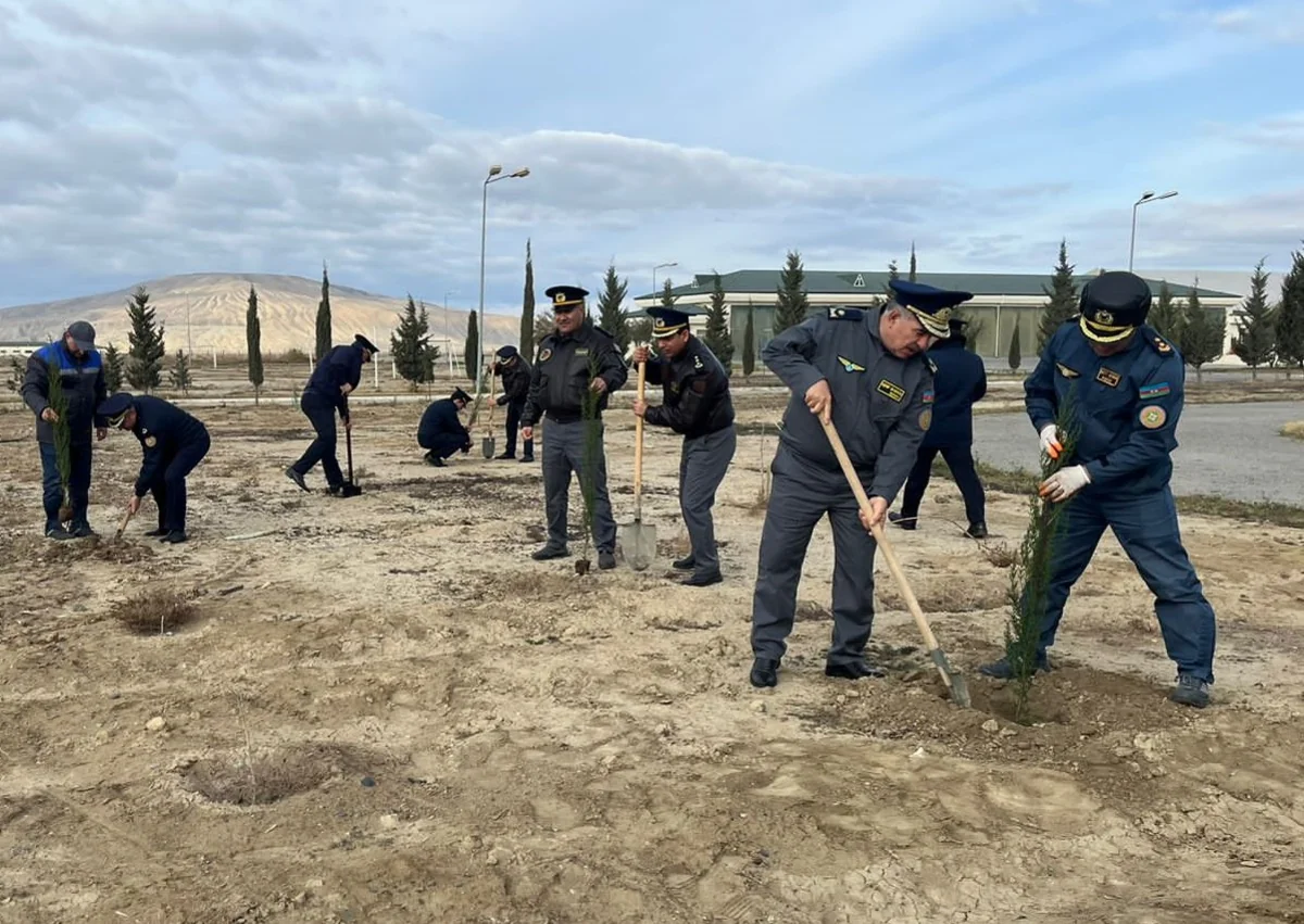 FHN ağacəkmə aksiyası təşkil edib