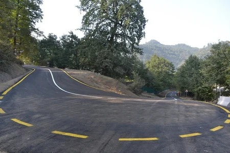 Prezident İlham Əliyev Lerik rayonunda yol açılışında iştirak edib