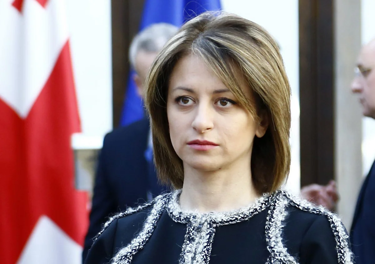 Georgian health minister resigns