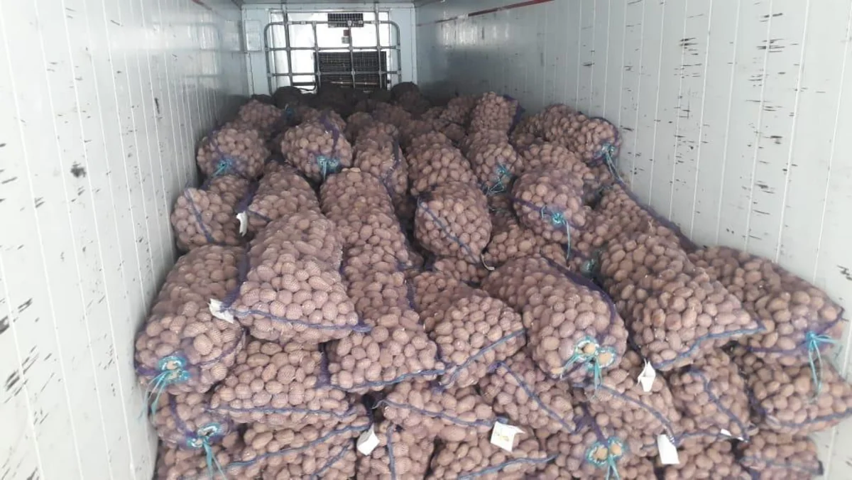Fermerlərə yüksək məhsuldar toxumlar verilib
