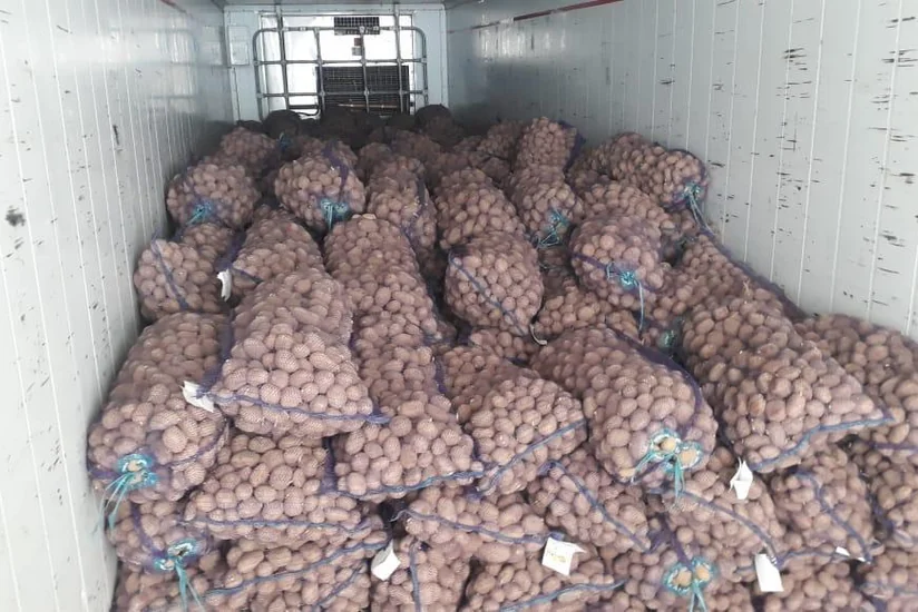 Fermerlərə yüksək məhsuldar toxumlar verilib