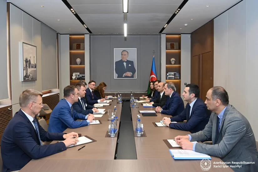 Джейхун Байрамов встретился с заместителем министра иностранных дел Литвы