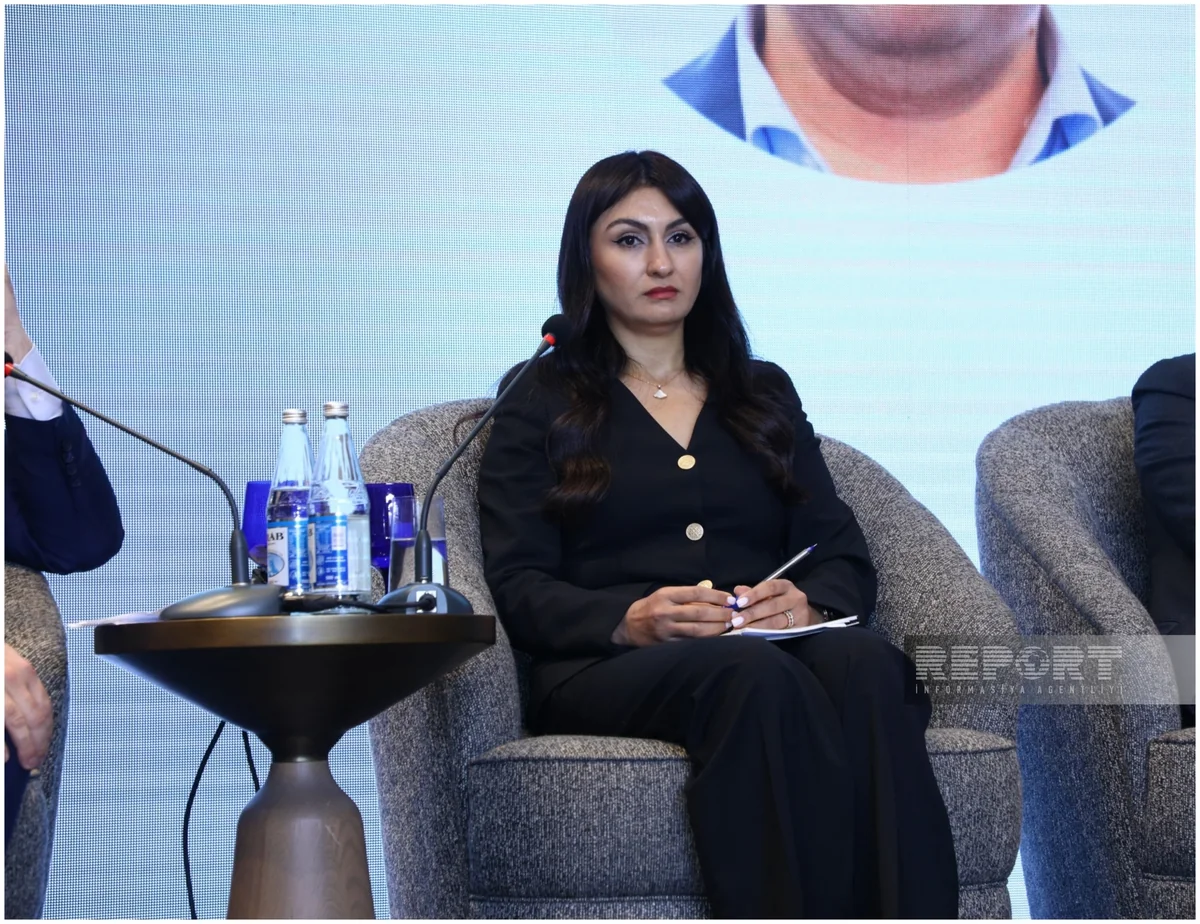 Azerbaijan forges ahead with carbon pricing and initial trading systems