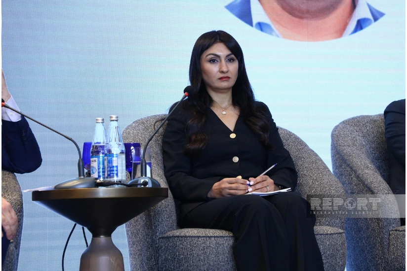 Samirə Musayeva: Payızda Azərbaycanda vergi forumu keçiriləcək