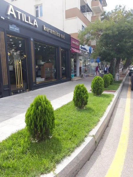Bakıda bəzi sahibkarlar “Yaşıl guşələr”in yaradılmasına qarşı çıxır - RƏYLƏR