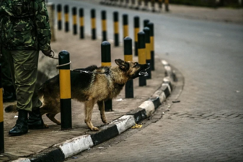 Azərbaycan və Rusiya sərhəddə terrorçuluğa qarşı birgə əməliyyatlara başlayıb
