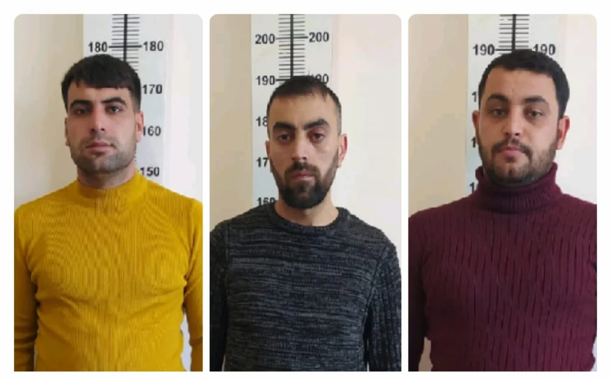 Naxçıvanda saxta dollar əskinaslarını gizli yollarla ölkəyə gətirən cinayətkar dəstə zərərsizləşdirilib