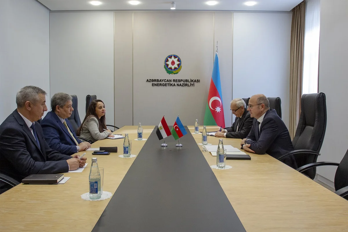 Azerbaijan considering participation of Egyptian companies in green energy projects in Karabakh