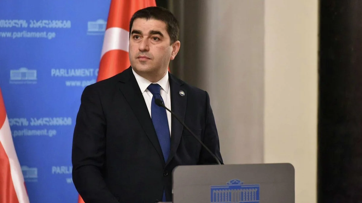 Papuaşvili: ABŞ-nin maliyyə yardımının Gürcüstanın dövlət büdcəsinə heç bir təsiri olmayıb