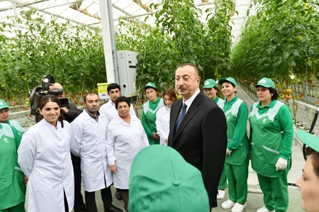 Prezident İlham Əliyev Zirə qəsəbəsində “BAKU AGROPARK”da görülən işlərlə tanış olub