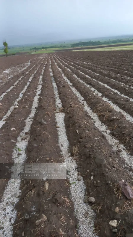 Град в Шеки вызвал ряд последствий