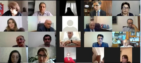 MM-in İnsan hüquqları komitəsi QHT-lərlə videokonfrans keçirib