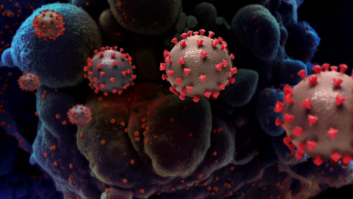 Specialist reveals causes of lower antibody levels after severe COVID