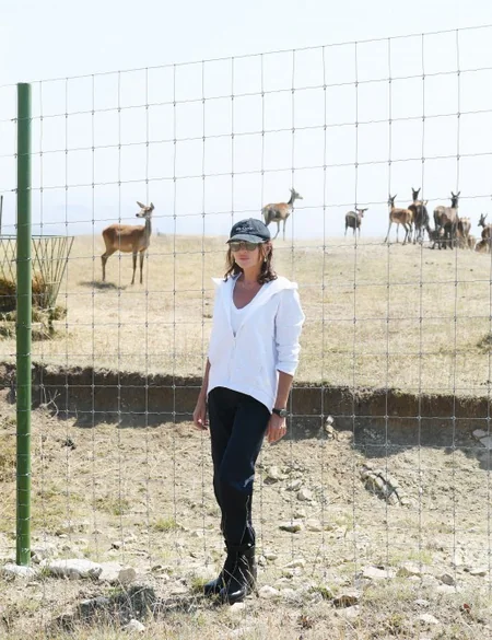 Prezident və birinci xanım Şamaxı Safari Parkında olublar