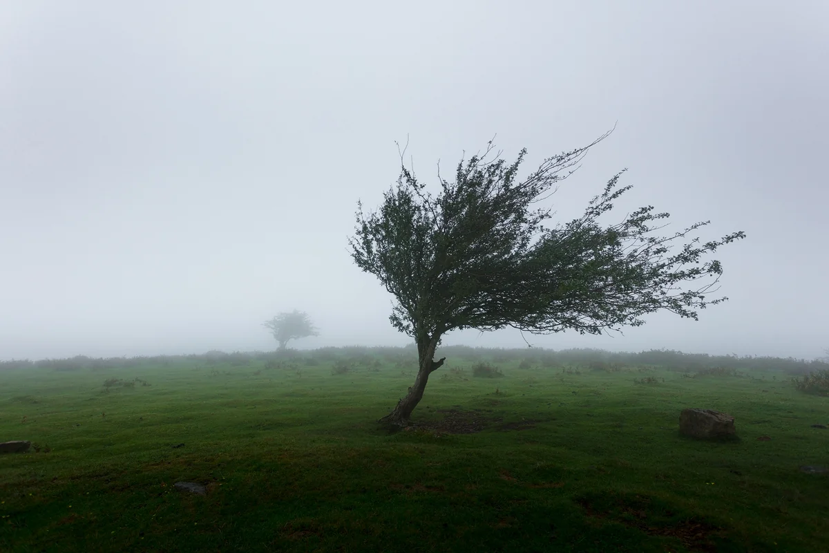 Hava şəraiti ilə bağlı xəbərdarlıq edildi