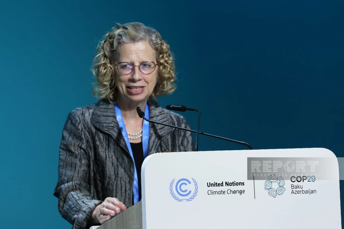 Представитель UNEP: Статья 6 Парижского соглашения обладает большим потенциалом