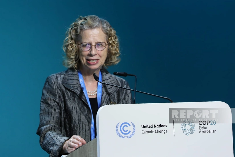 UNEP rəsmisi: Paris sazişinin 6-cı maddəsi çox vacibdir və böyük potensiala malikdir