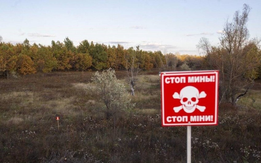 BMT: Ukrayna dünyanın ən çox minalanmış ölkələrindən biridir