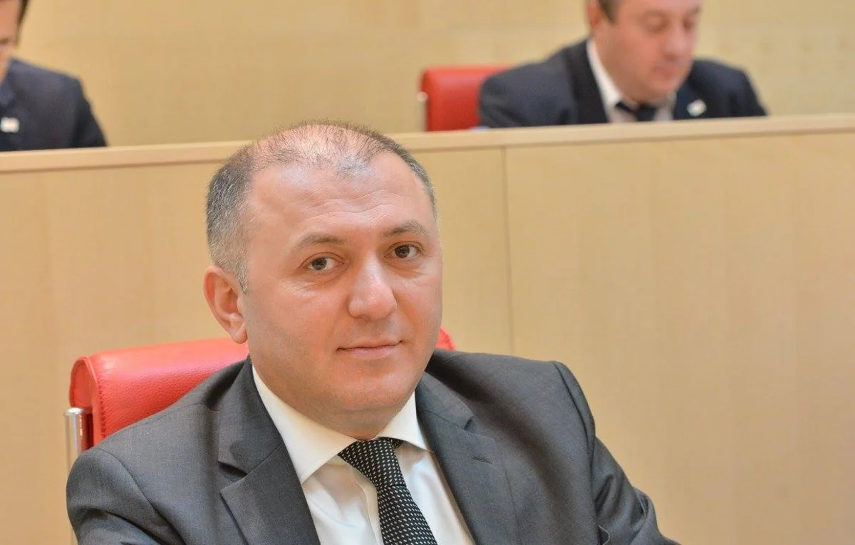 DTX: Gürcüstanda terror təşkilatlarının potensial tərəfdarlarının sayı xeyli azalıb