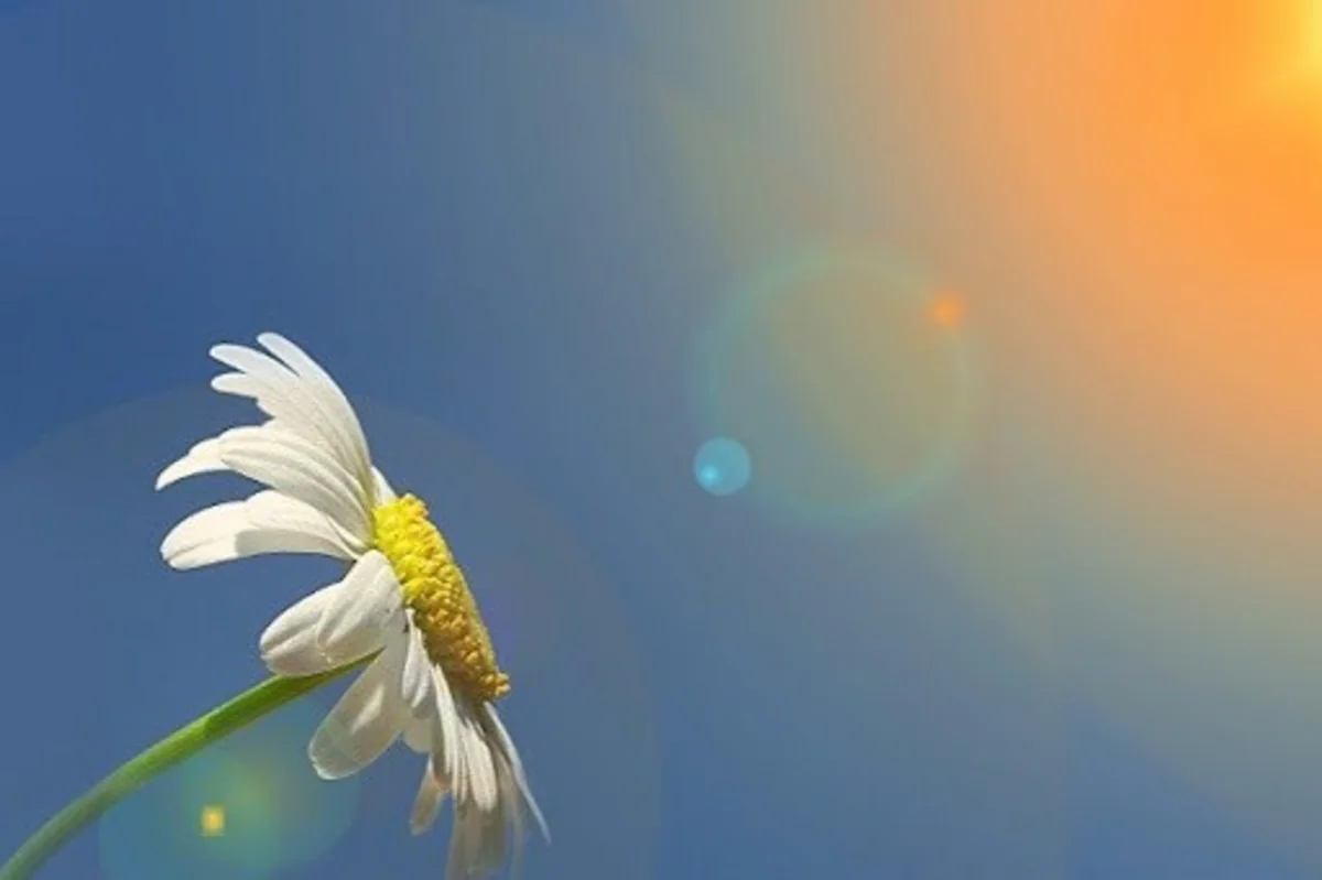 8 martda 20 dərəcə isti olacaq