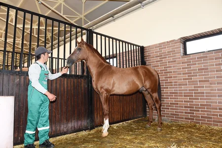 President Ilham Aliyev attends opening of Qarabag Equestrian Complex