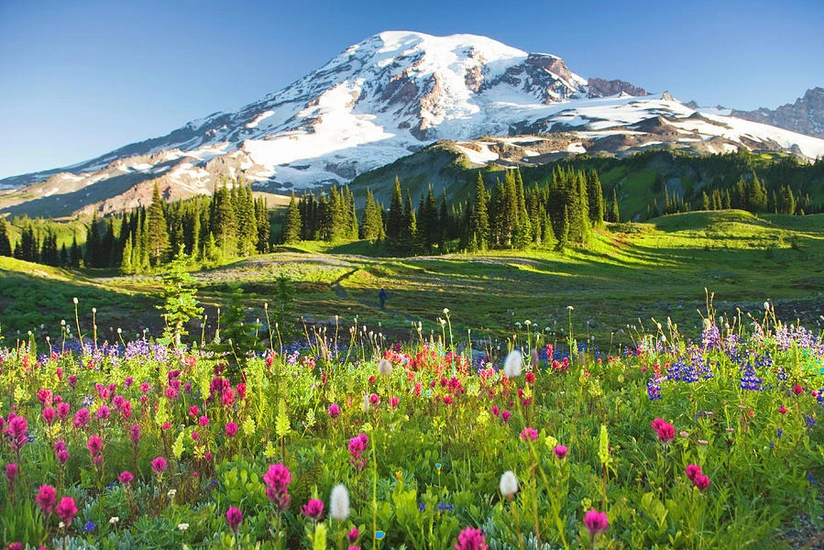 Weather forecast for tomorrow in Azerbaijan announced