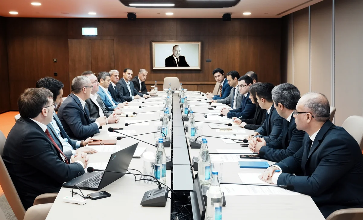 Azərbaycanda yem istehsalçılarına vergi güzəştlərinin tətbiqi müzakirə edilib
