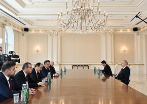 President Ilham Aliyev receives Vice President of Turkiye
