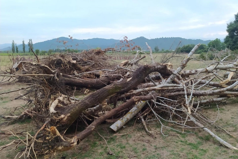 ETSN “Beta Tea” şirkətilə müqaviləyə xitam verir