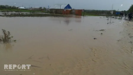 Cənub bölgəsində sel sularının yaratdığı fəsadlar - FOTOREPORTAJ