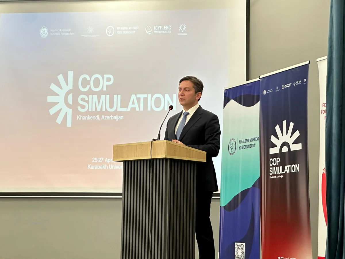 Yalchin Rafiyev: COP29 Presidency focuses on preserving process over enhancing efficiency