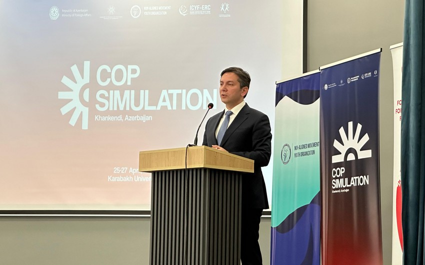 Yalchin Rafiyev: COP29 Presidency focuses on preserving process over enhancing efficiency