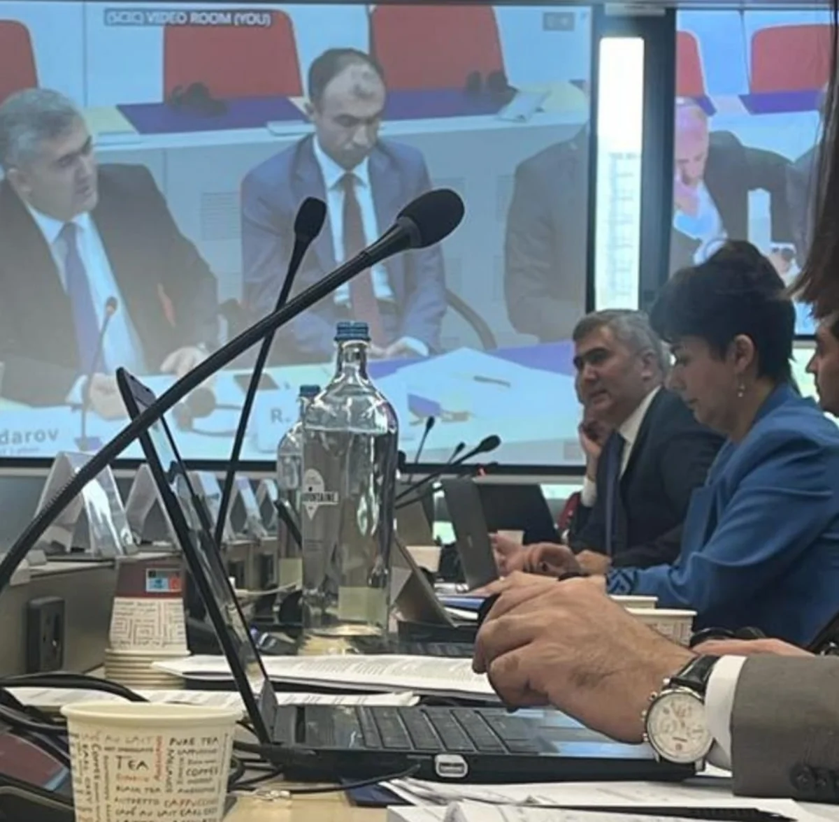 Представитель омбудсмена ответил на вопросы участников заседания подкомитета в Брюсселе