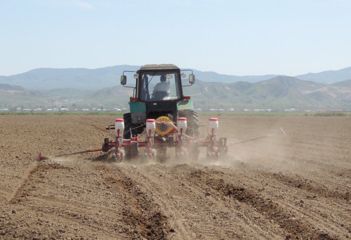 İmişlidə məcburi köçkünlərə məxsus ərazidə 4 529 hektar sahədə əkin aparılıb