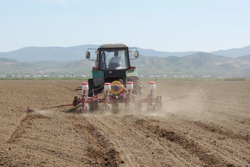 İmişlidə məcburi köçkünlərə məxsus ərazidə 4 529 hektar sahədə əkin aparılıb
