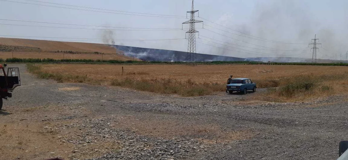 Göyçayın 3 kəndində 100 hektara yaxın otlaq və taxıl sahələri yanır
