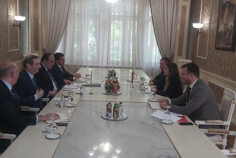 МИД Азербайджана и Черногории провели первые консульские консультации