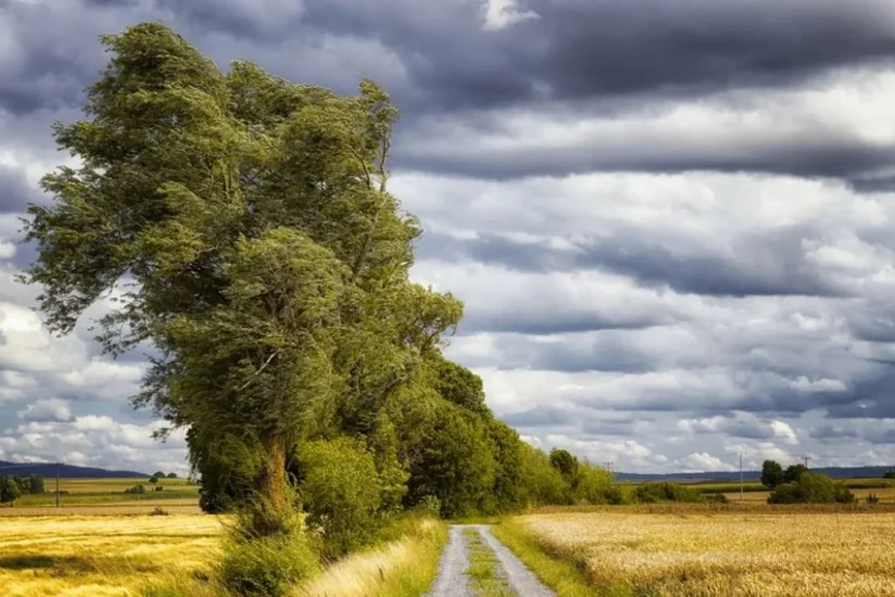 Küləkli hava şəraiti ilə bağlı sarı xəbərdarlıq elan edilib