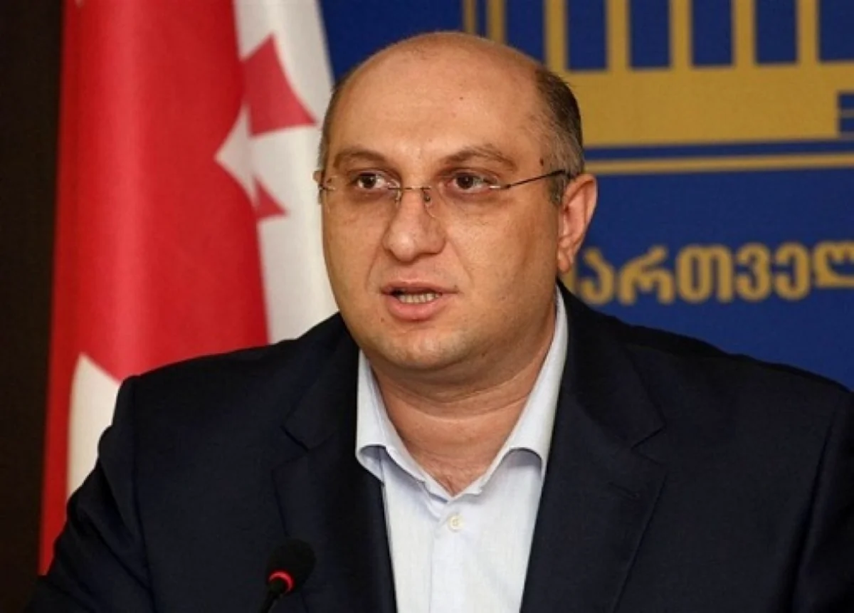 ​Gürcü siyasətçi: Azərbaycan ağır günlərimizdə həmişə bizə dəstək verib