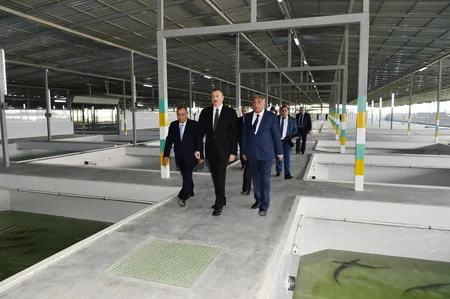 Yevlaxda balıqartırma müəssisəsi istifadəyə verilib