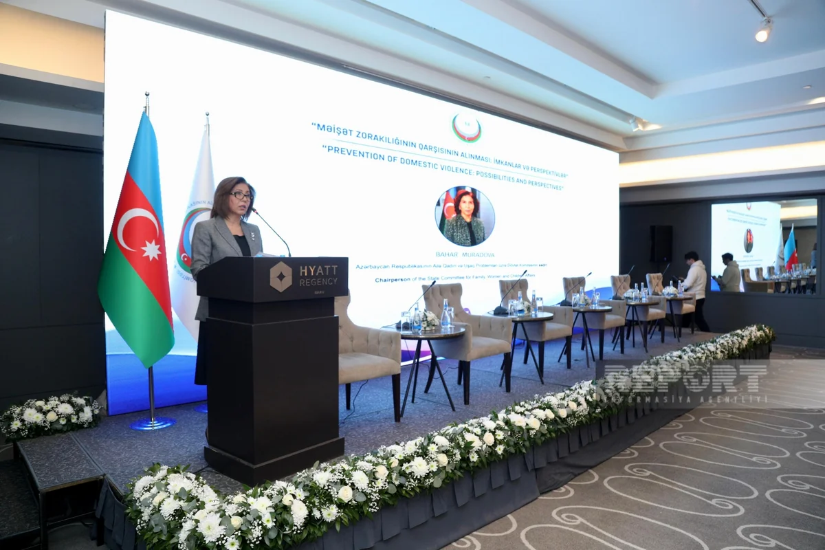 Dövlət Komitəsinin sədri dünyada baş verən kataklizmlərin insanlara təsirindən danışıb
