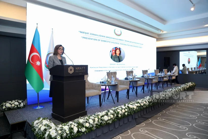 Dövlət Komitəsinin sədri dünyada baş verən kataklizmlərin insanlara təsirindən danışıb