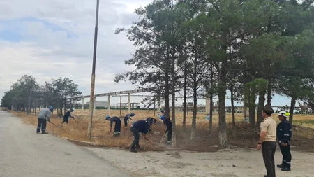 Bakıda yanğına səbəb olan quru ot, kol-kos və məişət tullantıları yığılan sahələr təmizlənib