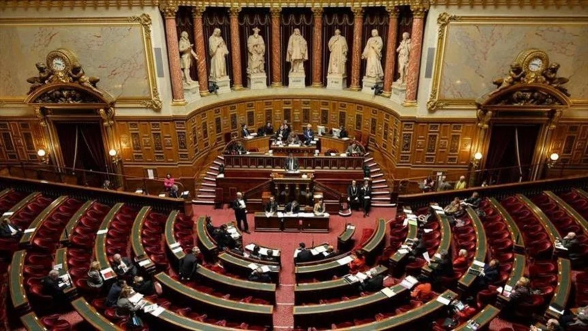 Erməni lobbisinin oyuncağı - Fransa Milli Assambleyası Azərbaycan və Türkiyəni hədəfə alıb - ŞƏRH