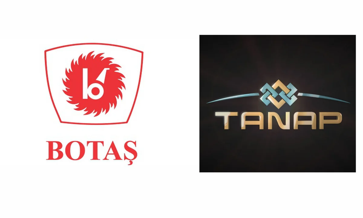 ​Состоялась встреча официальных представителей BOTAŞ и TANAP