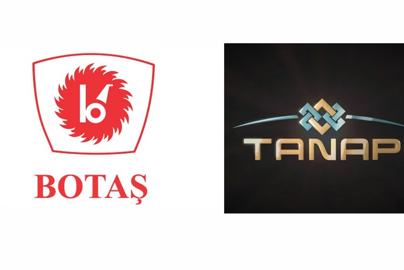 ​Состоялась встреча официальных представителей BOTAŞ и TANAP