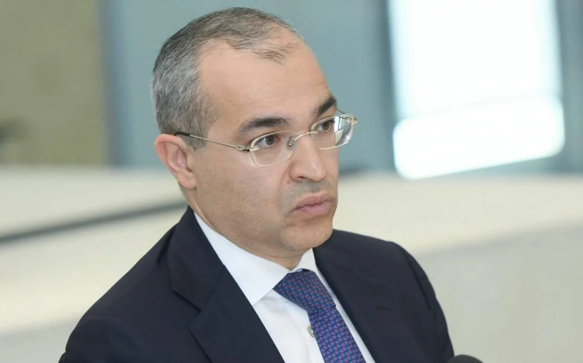 Mikayil Jabbarov: ‘Regions share 69.7% of the amount of concessional loans’
